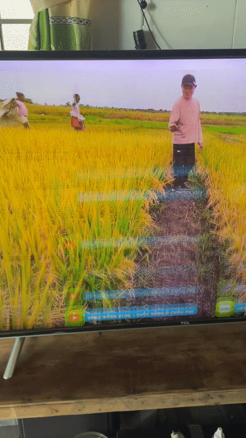 Tivi TCL L50P62-UF Lỗi như hình. Mua bán Tivi, Âm thanh tại Huyện Lai Vung Đồng Tháp được đăng bởi Duy Nguyen hình 1