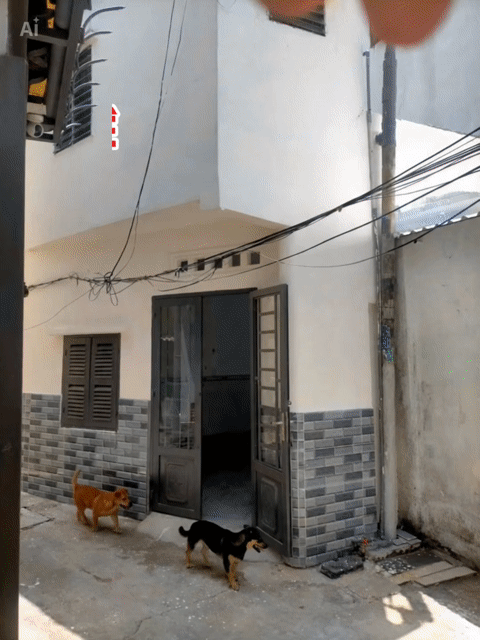 Cho thuê Phòng trọ Quận Gò Vấp Tp Hồ Chí Minh diện tích 24 m² giá 5 triệu/tháng
