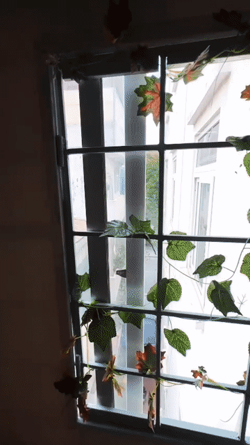 Cho thuê Phòng trọ Quận Hoàn Kiếm Hà Nội diện tích 30 m² giá 4,2 triệu/tháng