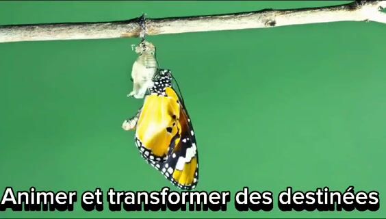 Animer et transformer des destinées !