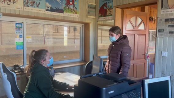 Formation Animateur d'équitation