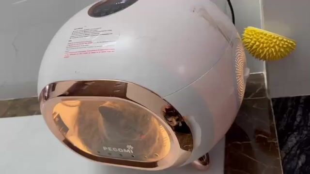 Máy sấy thú cưng PECOMI. Mua bán Phụ kiện, Thức ăn, Dịch vụ tại Quận Bình Tân Tp Hồ Chí Minh được đăng bởi Miu Miu hình 1