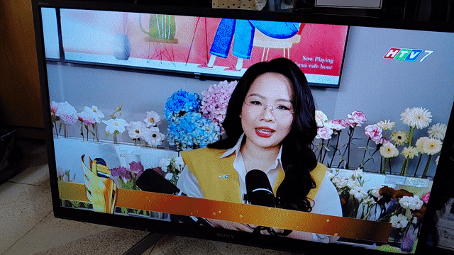 Tivi Sony W610G. Mua bán Tivi, Âm thanh tại Quận 1 Tp Hồ Chí Minh được đăng bởi Nguyễn Hoàng Lộc hình 1