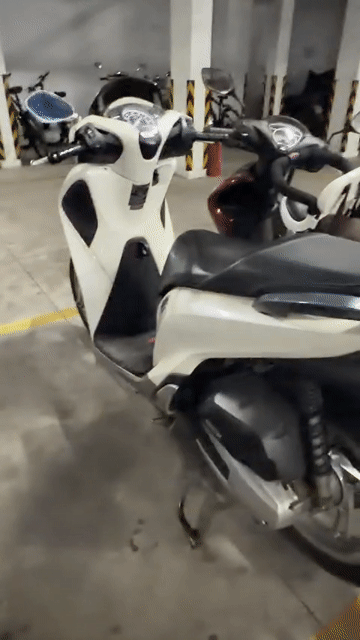 Honda SH150 ABS 2019 Trắng. Mua bán Xe máy tại Thành phố Thủ Đức Tp Hồ Chí Minh được đăng bởi Tat Transport hình 1