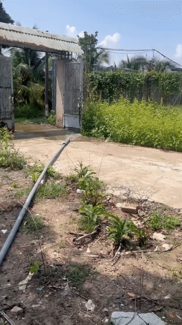 Mua bán Đất Newlife Bình Chánh Huyện Bình Chánh Tp Hồ Chí Minh diện tích 2000 m² giá 7,5 tỷ
