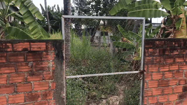 Mua bán Đất Thị xã Hoài Nhơn Bình Định diện tích 181 m² giá 850 triệu