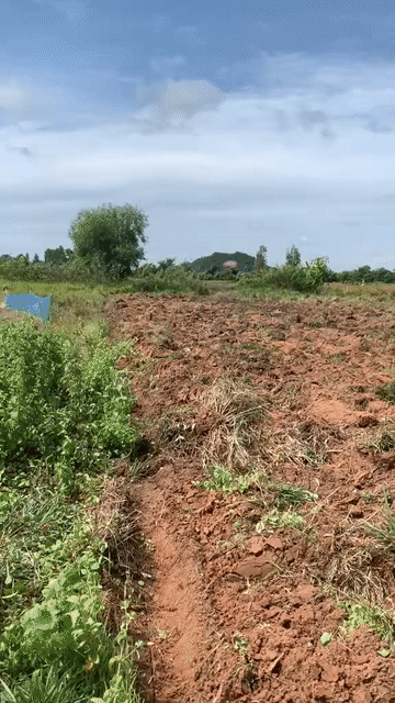 Mua bán Đất Huyện Bắc Bình Bình Thuận diện tích 20000 m² giá 450 triệu