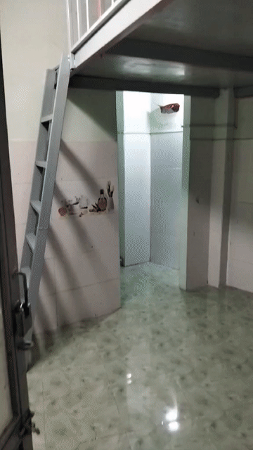 Cho thuê Phòng trọ Quận Gò Vấp Tp Hồ Chí Minh diện tích 15 m² giá 2,2 triệu/tháng