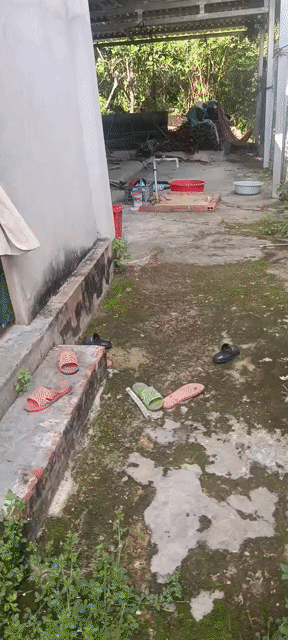 Mua bán Nhà ở Huyện Củ Chi Tp Hồ Chí Minh diện tích 275.2 m² giá 2,85 tỷ