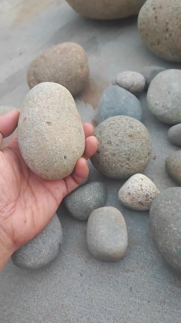 Đá cuội tự nhiên trang trí, hồ cá, lối đi, mặt bàn. Mua bán Cây cảnh, đồ trang trí tại Thành phố Buôn Ma Thuột Đắk Lắk được đăng bởi Minh phát hình 1