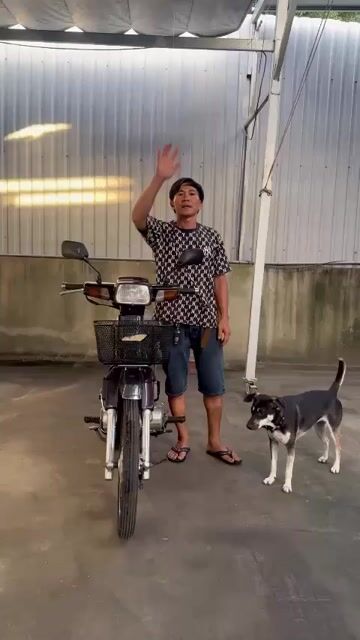 Honda Dream 1998 Nâu đỏ. Mua bán Xe máy tại Quận Tân Phú Tp Hồ Chí Minh được đăng bởi nguyên xuan thinh hình 1