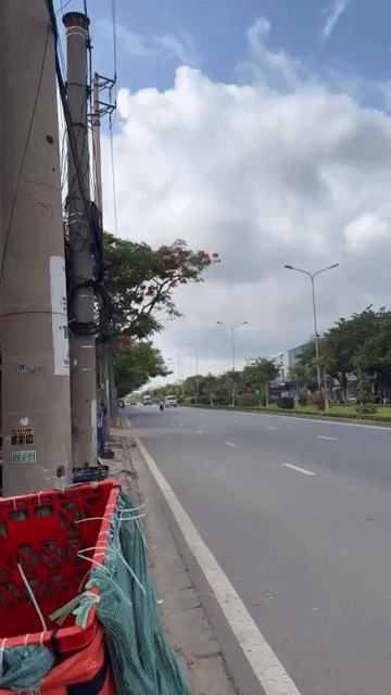 Mua bán Đất Quận Dương Kinh Hải Phòng diện tích 169 m² giá 9,2 tỷ