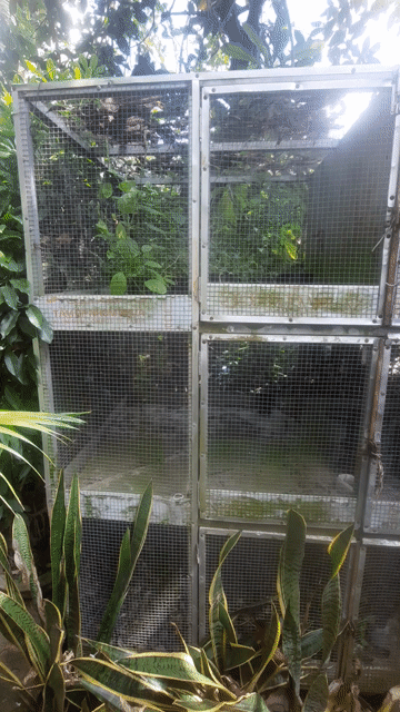 Chuồng gà Sắt hộp 3 tầng 2m x 1m x 2m cũ. Mua bán Phụ kiện, Thức ăn, Dịch vụ tại Thành phố Long Xuyên An Giang được đăng bởi hoàng sơn hình 1