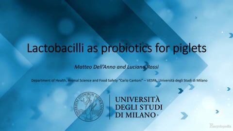 Lactobacilli as Probiotics for Piglets