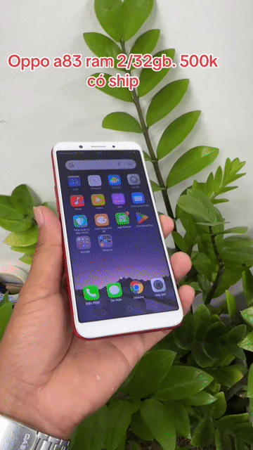 Oppo A83 32GB Đỏ. Mua bán Điện thoại tại Thành phố Trà Vinh Trà Vinh được đăng bởi Quang hình 1
