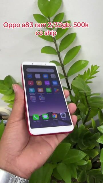 Oppo A83 32GB Đỏ. Mua bán Điện thoại tại Thành phố Trà Vinh Trà Vinh được đăng bởi Quang hình 1