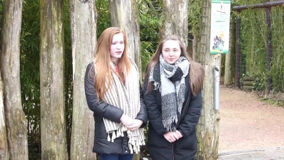 Découvrir le métier de soigneur animalier