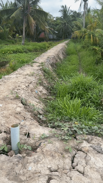 Mua bán Đất Thành phố Vĩnh Long Vĩnh Long diện tích 775 m² giá 7,75 tỷ