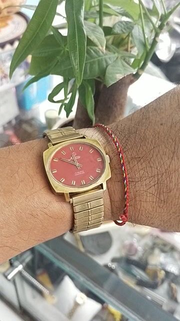 Đồng hồ Minerva Thụy Sĩ bọc mạ 10kG. Mua bán Đồng hồ tại Huyện Nhà Bè Tp Hồ Chí Minh được đăng bởi Ck bao ship no cod hình 1