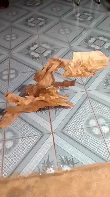 Gỗ lũa tự nhiên phong thủy.. Mua bán Cây cảnh, đồ trang trí tại Huyện Triệu Sơn Thanh Hóa được đăng bởi instagam vietnam hình 1
