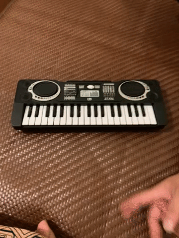Đàn piano điện 37 phím Đen đã sử dụng. Mua bán Nhạc cụ tại Quận Ba Đình Hà Nội được đăng bởi Le Tam hình 1