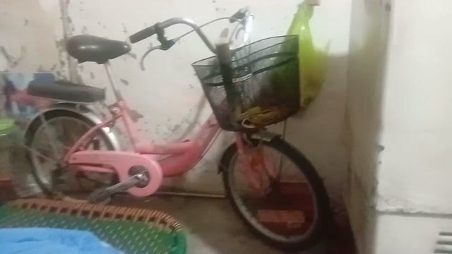 Xe đạp nữ Asama 24 inch. Mua bán Xe đạp tại Quận Hải An Hải Phòng được đăng bởi Uyên nhi  hình 1