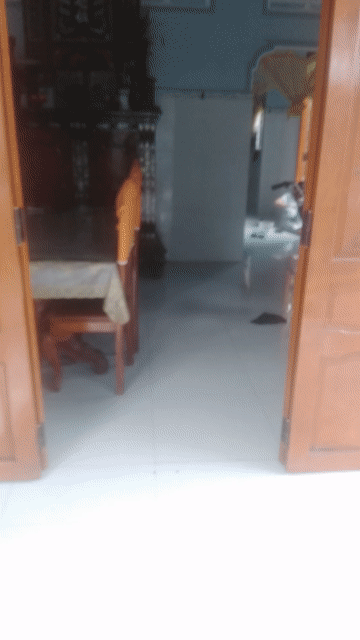 Mua bán Nhà ở Huyện Bình Đại Bến Tre diện tích 227.1 m² giá 950 triệu