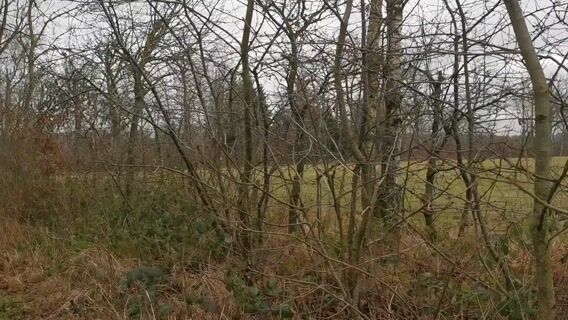 La vie sauvage des GPN