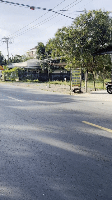 Cho thuê Đất Huyện Châu Thành Bến Tre diện tích 420 m² giá 2,5 triệu/tháng