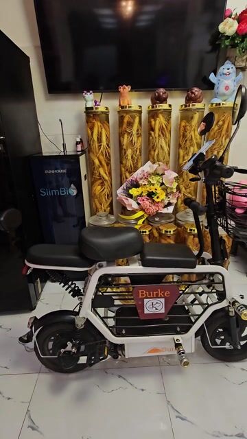 Xe đạp điện Burke màu Trắng Mới. Mua bán Xe điện tại Quận Tân Bình Tp Hồ Chí Minh được đăng bởi Như anh hình 1