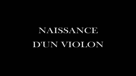 naissance d'un violon