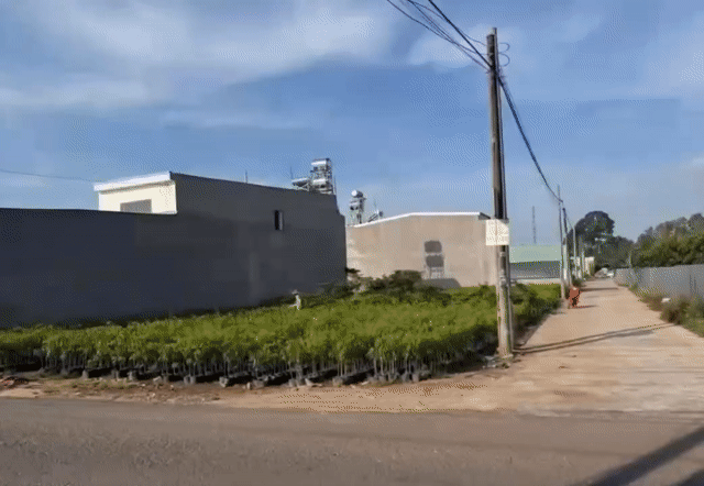 Mua bán Đất Thành phố Long Khánh Đồng Nai diện tích 300 m² giá 1,2 tỷ