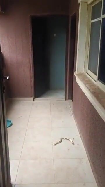 Clean 1 bedroom apartment for rent