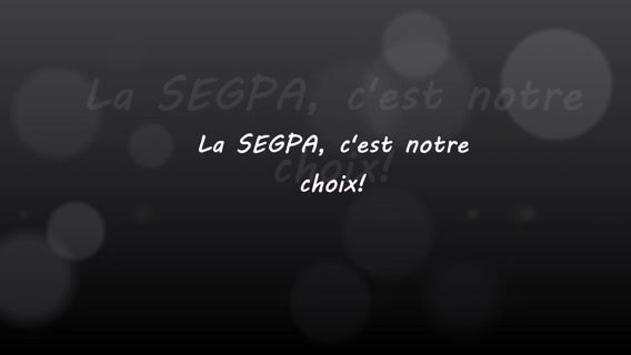 La SEGPA, c'est mon choix!