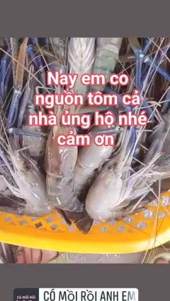 tôm càng  xanh . Mua bán Đồ ăn, thực phẩm và các loại khác tại Huyện Đăk Glong Đắk Nông được đăng bởi Quanglam hình 1
