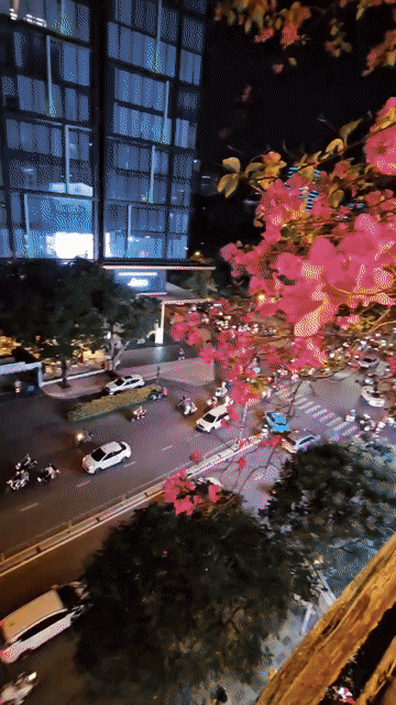Cho thuê Căn hộ Chung cư Quận 1 Tp Hồ Chí Minh diện tích 45 m² giá 7,9 triệu/tháng
