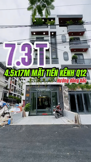 Mua bán Nhà ở Quận 8 Tp Hồ Chí Minh diện tích 17 m² giá 7,3 tỷ