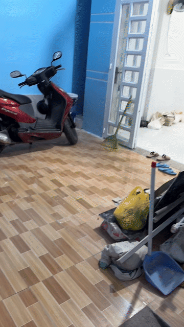 Cho thuê Nhà ở Quận Gò Vấp Tp Hồ Chí Minh diện tích 48 m² giá 9 triệu/tháng