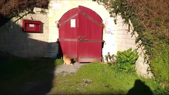 Les pachats du bastion