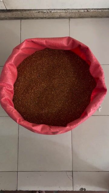 KÊ ĐỎ KÊ VÀNG HẠT VỪA SỈ LẺ. Mua bán Phụ kiện, Thức ăn, Dịch vụ tại Quận 3 Tp Hồ Chí Minh được đăng bởi Minh Đoàn hình 1