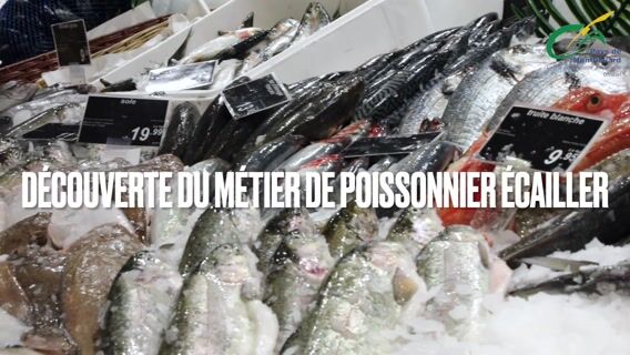 Métier de Poissonnier Écailler