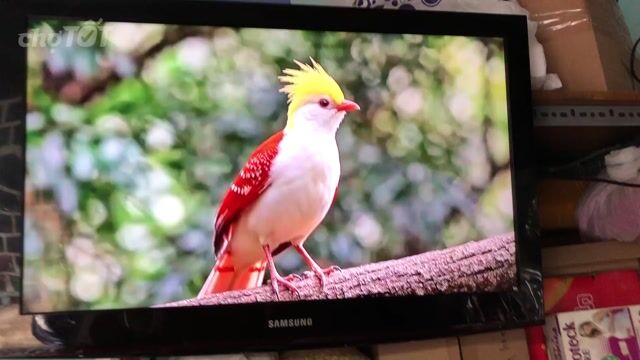 Tivi Samsung 32 inch.Hình ảnh Rất đẹp.siêu bềnh. Mua bán Tivi, Âm thanh tại Quận 12 Tp Hồ Chí Minh được đăng bởi Văn Thành hình 1
