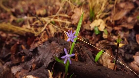 Le métier de naturaliste