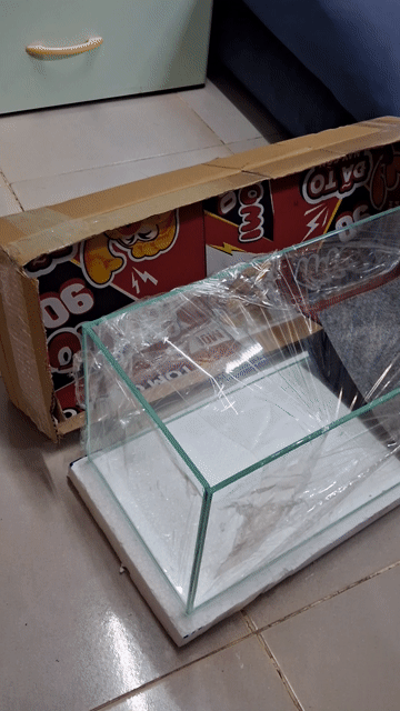 Hồ cá kính 60x20x20cm mới. Mua bán Phụ kiện, Thức ăn, Dịch vụ tại Quận Bình Tân Tp Hồ Chí Minh được đăng bởi Ngọc Trân hình 1