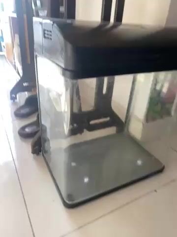 Bể cá Jebo kính cường lực. Mua bán Phụ kiện, Thức ăn, Dịch vụ tại Quận Bắc Từ Liêm Hà Nội được đăng bởi huyền phạm hình 1