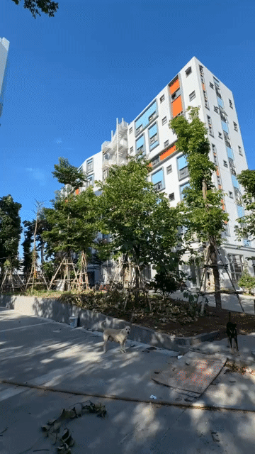 Cho thuê Căn hộ Chung cư Thành phố Thủ Đức Tp Hồ Chí Minh diện tích 21 m² giá 6 triệu/tháng