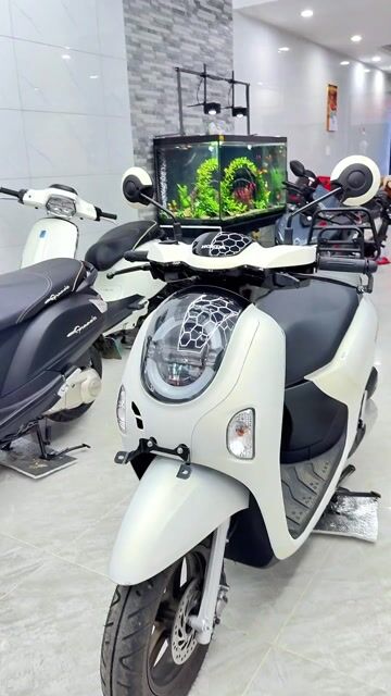 Honda Scoopy 2025 Trắng 2000 km. Mua bán Xe máy tại Quận Liên Chiểu Đà Nẵng được đăng bởi Thành Đại   hình 1