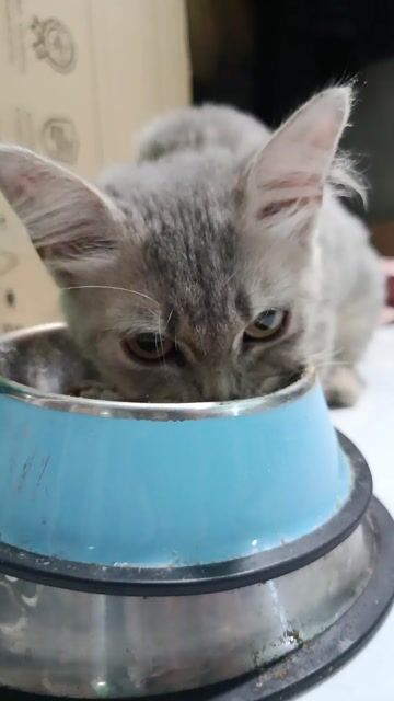 Mình cần gả bé ạ