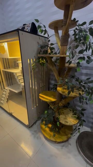 Tủ nhà cho mèo rộng rai sang trọng. Mua bán Phụ kiện, Thức ăn, Dịch vụ tại Quận 12 Tp Hồ Chí Minh được đăng bởi Gy hình 1