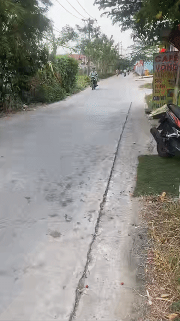 Mua bán Đất Huyện Bình Chánh Tp Hồ Chí Minh diện tích 861 m² giá 8,7 tỷ